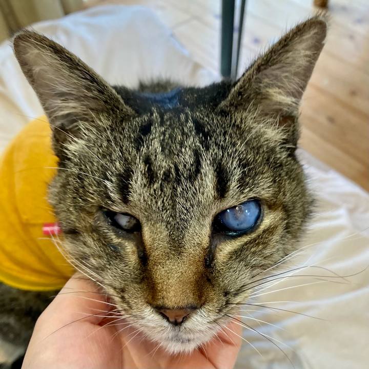 7d353e2a ecf9 476b b558 f1bbe0102470 1681716637796