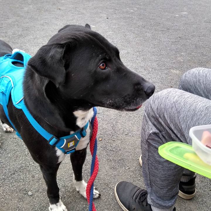 7d354295 0c15 4f5d be09 027a98108c8f 1615077653279