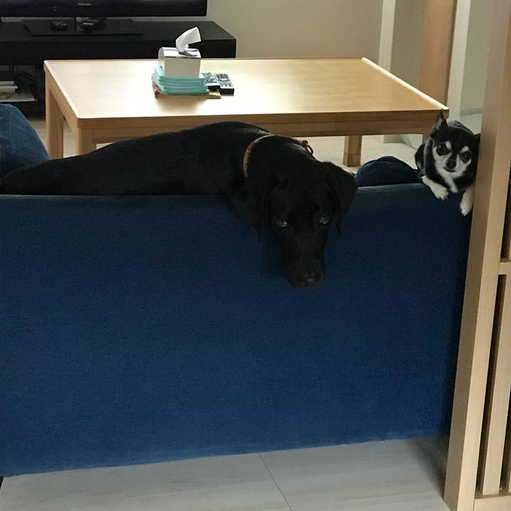 7d35d078 4176 4f97 b855 335fcb996c5d 1525855239214