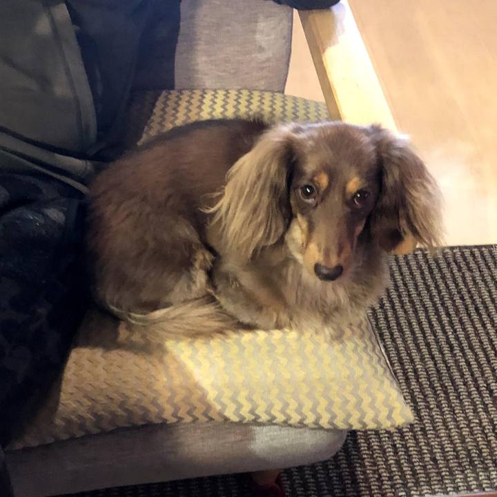 7d35ddcc cd87 4e69 a7bd 9775eff7cf00 1574474787793