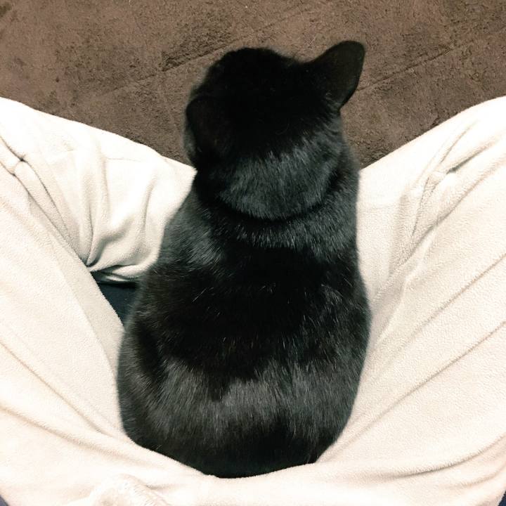 7d3663a4 a9af 4814 9b08 04ddbf2d5e6a 1543155254611