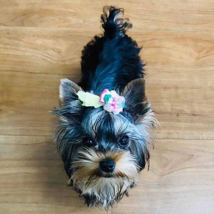 7d367061 97f4 4713 a534 461ac8a947a8 1623728691197