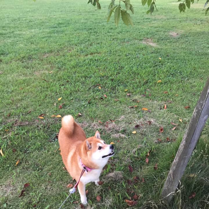 7d36ff54 3e5a 4d00 97f7 6bfa654f29a6 1533095193179