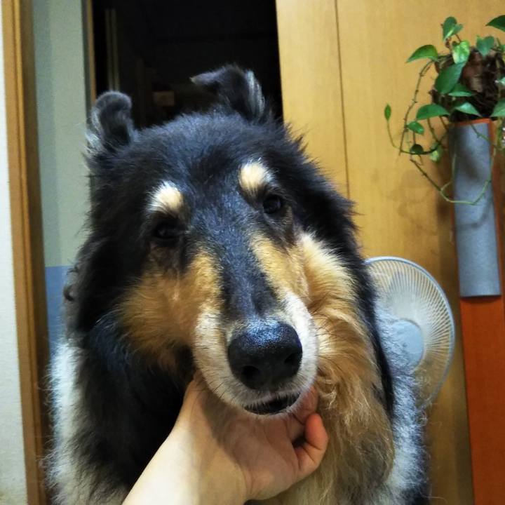 7d37374f 3082 4e5d 899e 5fb989c7f344 1571542818948