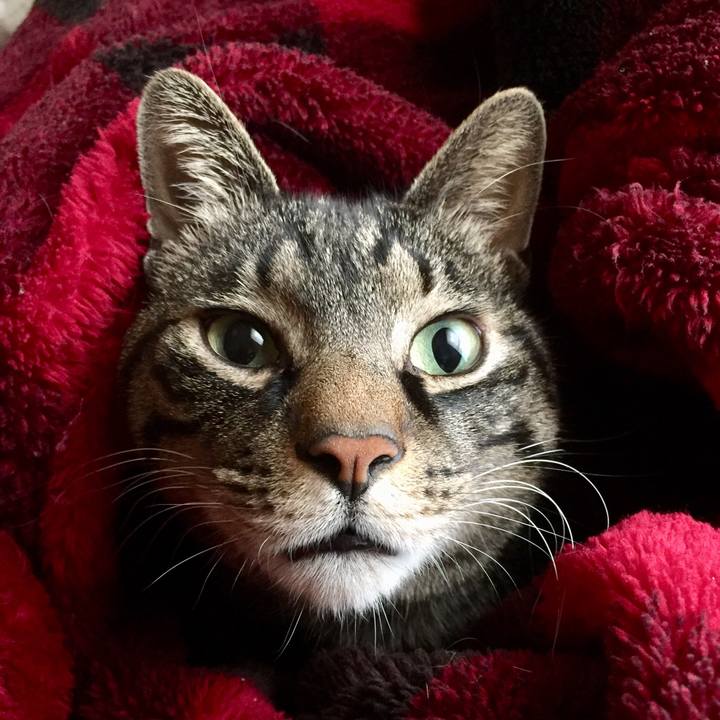 7d3751b9 a1ba 4592 9e93 84ff5e16cba4 1515127688018