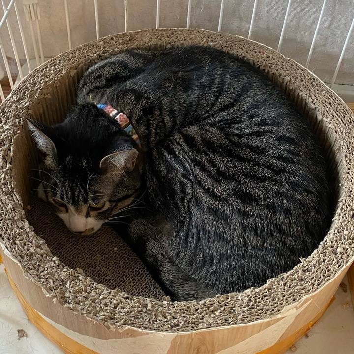 7d375dc2 1d96 4e7a 9a89 9cea0d72c02a 1715487648559