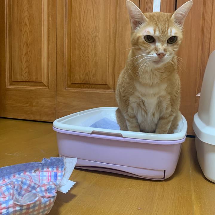 7d375f72 5f88 47d8 b081 b1b7d22063e2 1664313762692