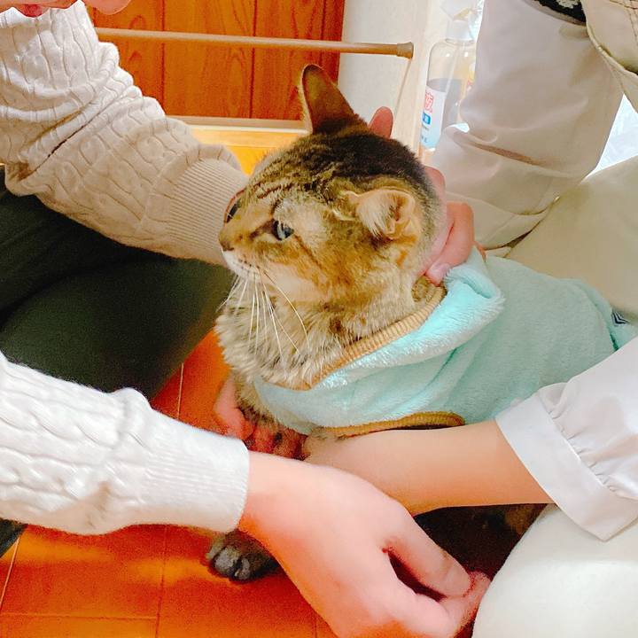 7d378b44 b8d3 478b 93d6 0a65098f3510 1641196642155