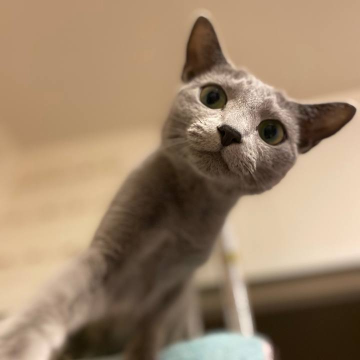 7d379716 de66 4386 bd26 3fa61dbfd699 1694784235855