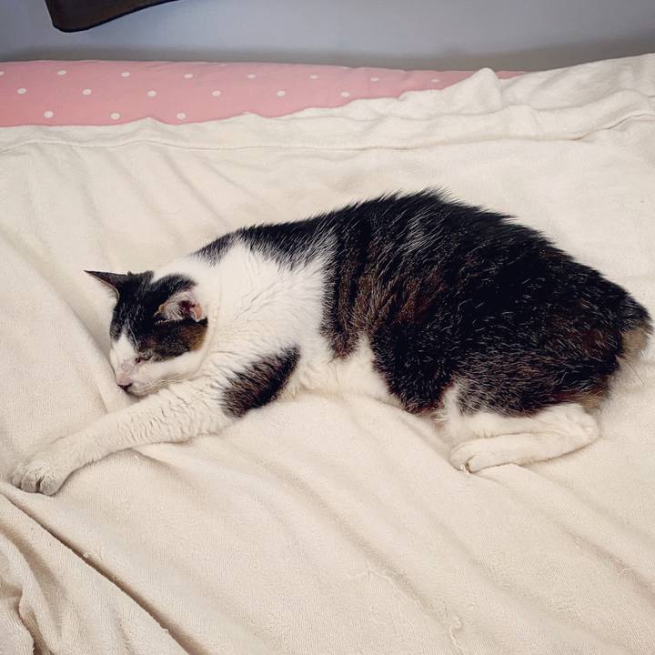 7d37cb8a e337 4a8c b8b5 c738af4342b4 1595805455865