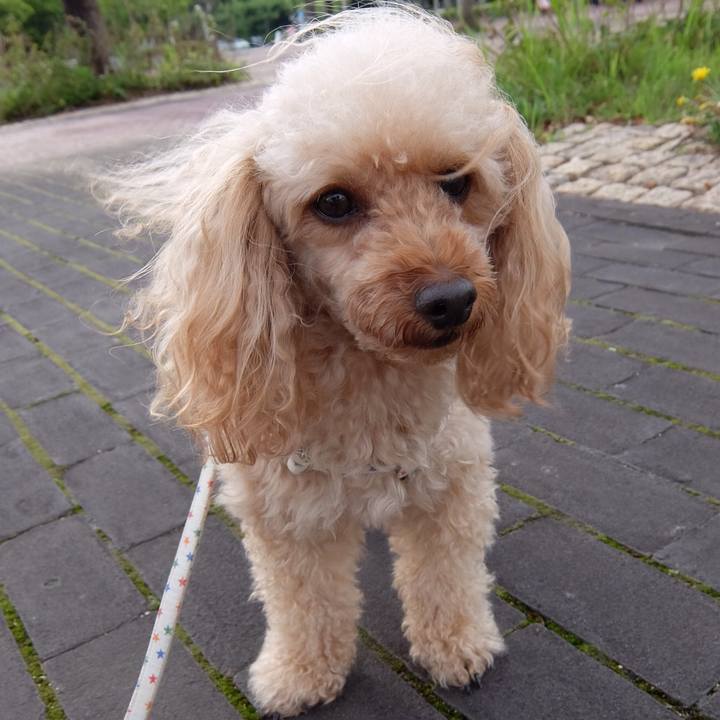 7d37cf63 bb1c 48ec 9b78 d38bea11b34c 1526793158808