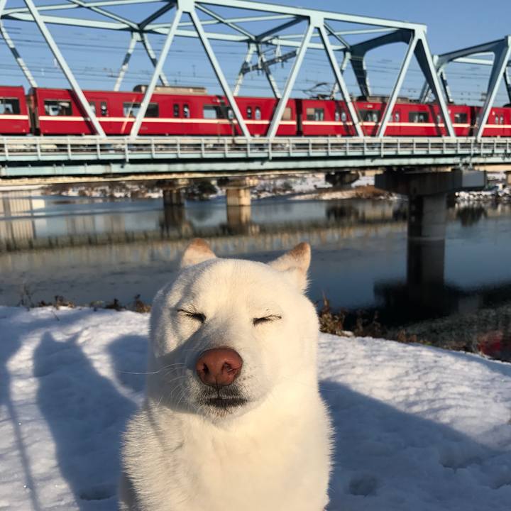 7d37ec3f 9b57 451f 963d 32918551b328 1516665604898