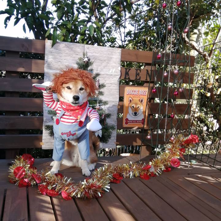 7d37fc66 d09a 4a58 9ca1 c8afb85b25f8 1639914733072