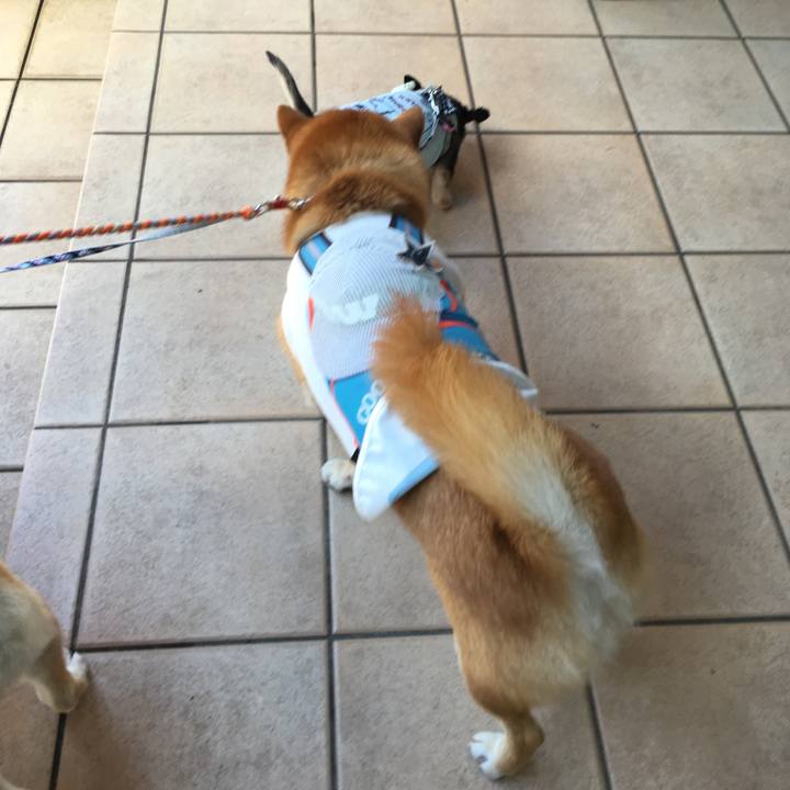 7d381fb3 314c 4273 b936 845214507035 1560676411249