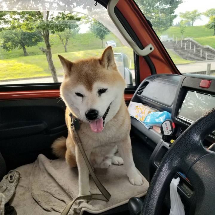 7d387833 ec45 4096 9839 6cef1de65da0 1717230294955