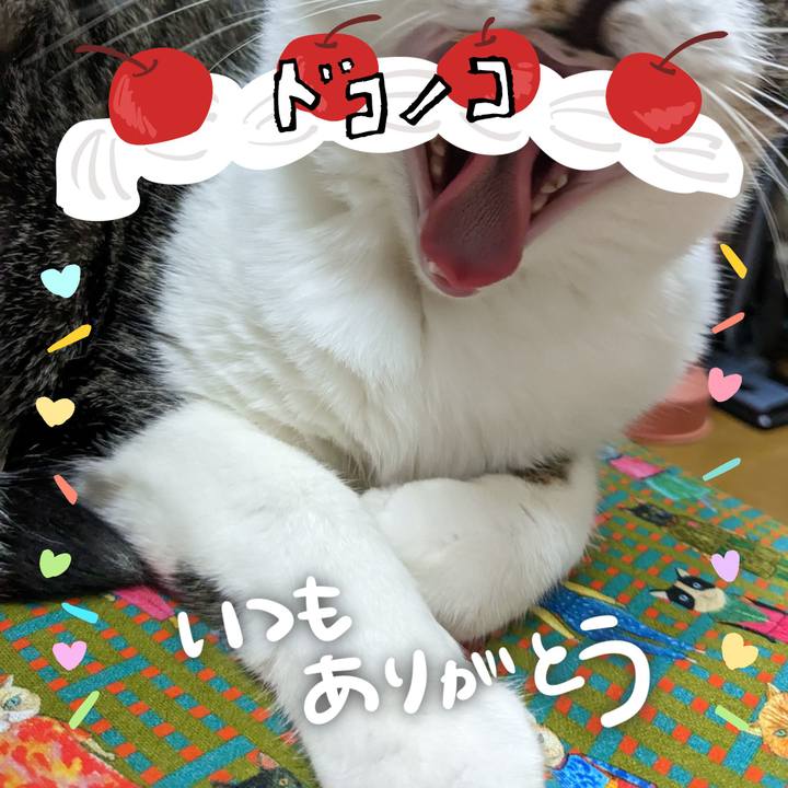 7d38a207 056e 4883 90e9 5806c00ecda5 1685972970531