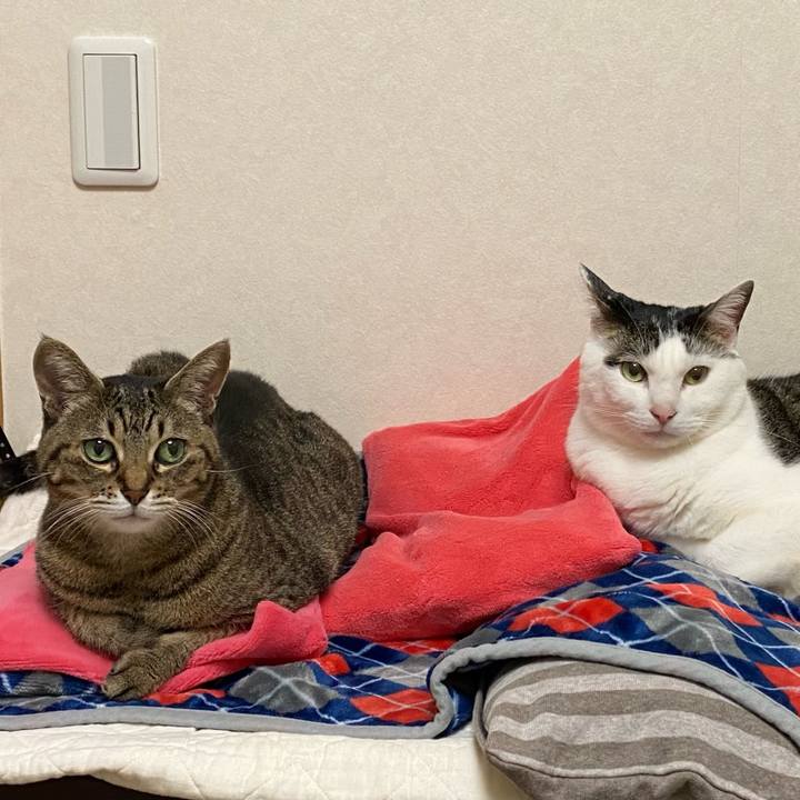 7d38a882 f55c 48d5 abea d6b1a25bd13a 1772535825862