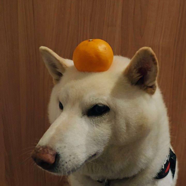 7d392116 de60 4870 990b 3c0ed83617c8 1768480087771