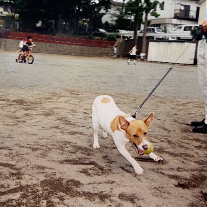 7d392833 7720 4cc3 922c 9ea9b31b35be 1715514176941