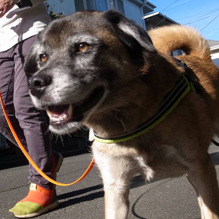 7d393dc6 3a78 485a 8162 e2713592a6a9 1583280691355