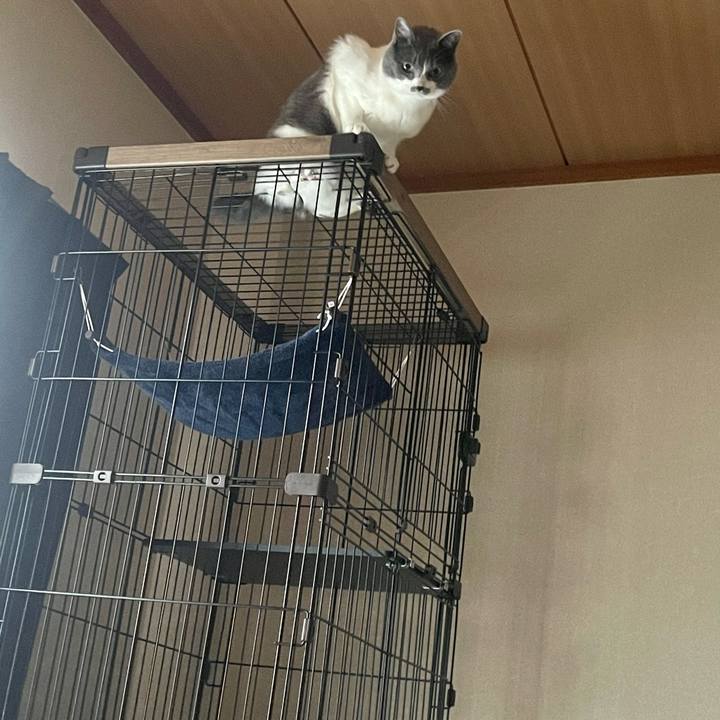 7d394d9e f73f 4c7a 8d82 8077b4df6976 1652083483744