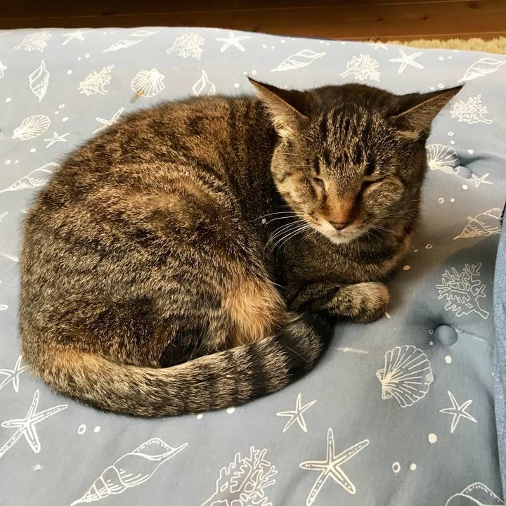 7d39669d bb7b 4a8e 88cf c7c70bcb61dd 1585729677340