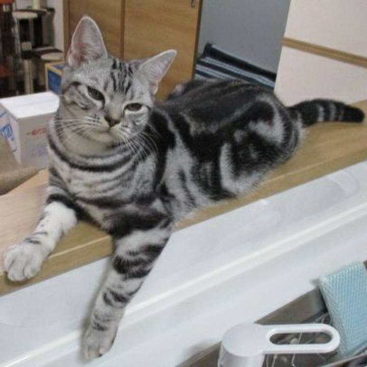 7d397645 f40b 4358 b46e ab88b74f603c 1540462550477