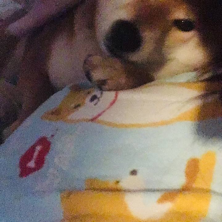 7d398517 8d85 43bc a8ed d2e1fc879cc5 1585346677115