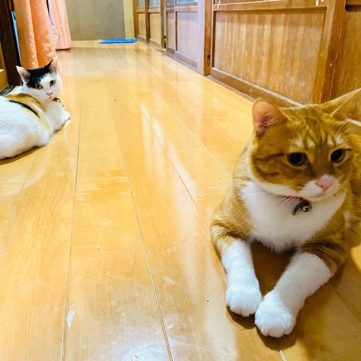 7d39aa09 2654 41be 95b3 562d360ea2b9 1724683774953