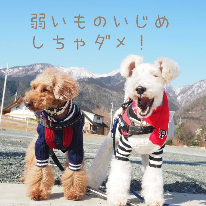 7d39efa9 21d7 4ce3 9ce3 1312668fc564 1550023554076