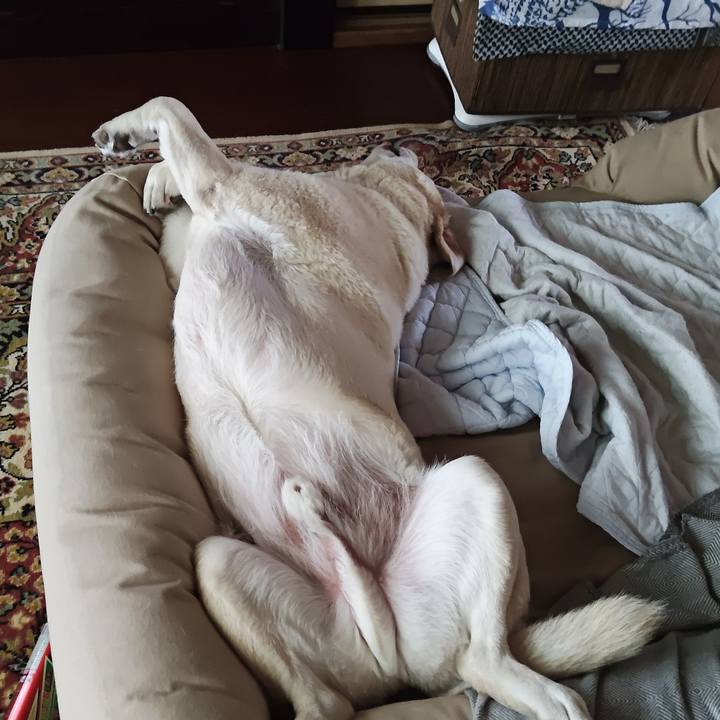 7d39f033 d7b5 4ddb 8668 fbc4ad8d785d 1749954442339