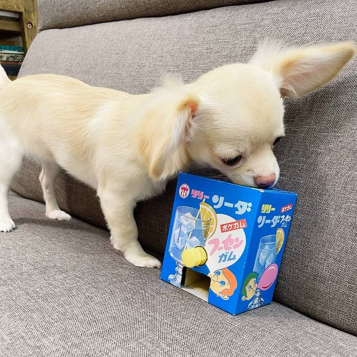 7d3a4d99 681d 4fbf b5b7 50f3331747bd 1595125989446