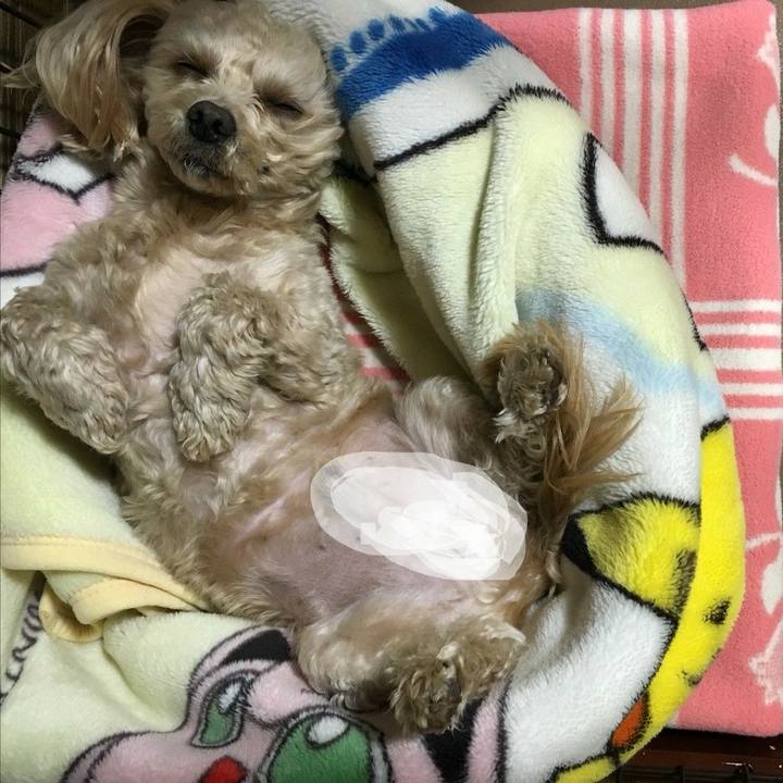 7d3a54d8 8335 4280 b0e6 b046366022ce 1518955156373