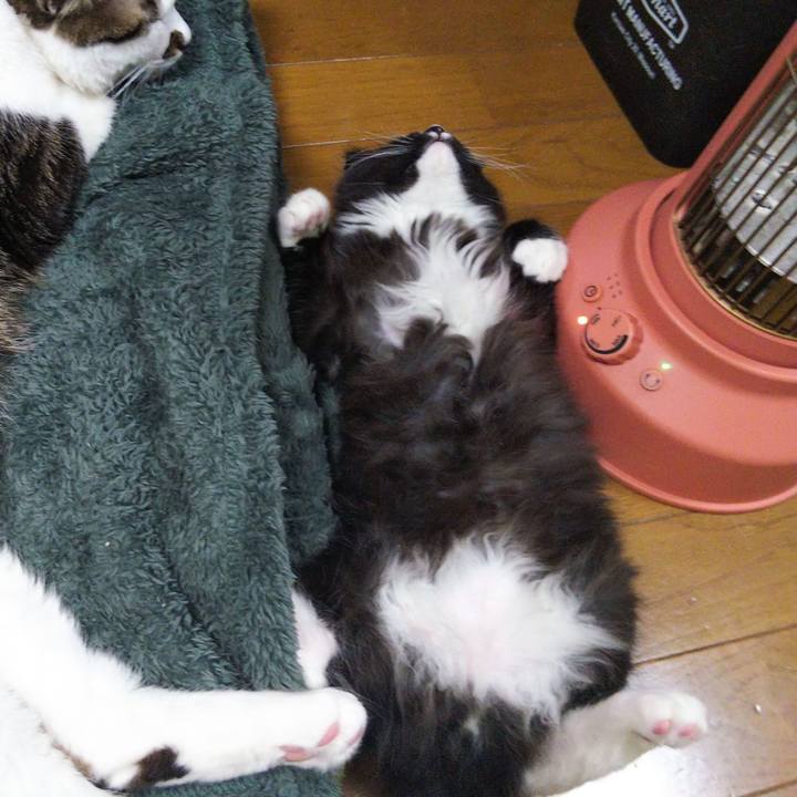 7d3a5843 8240 4abe 9f15 2ea519d177fa 1639911500146