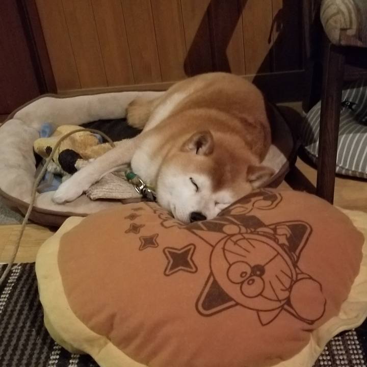 7d3a755d f88e 4c4a 858f b5dfa2d5f054 1622025132298