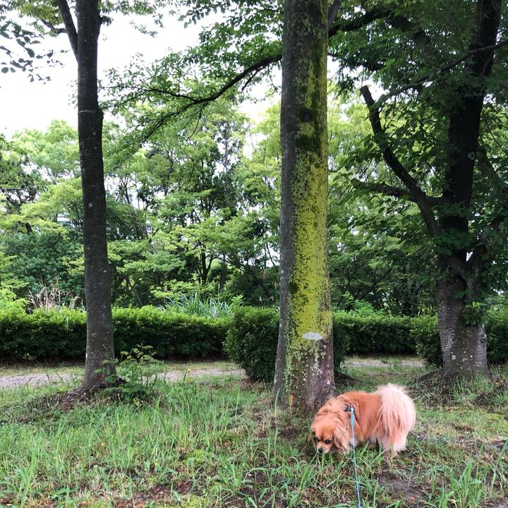 7d3a8a2d eda7 4081 8f93 1161d299e72c 1560288863605