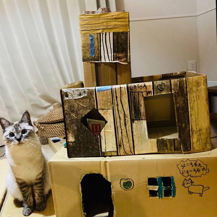 7d3aaae9 8a0c 48ec 9528 a92e9c040552 1595164607451