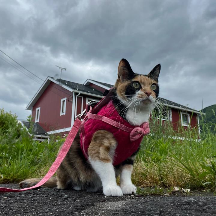 7d3ad069 5d4c 48c9 850f 6a329a272252 1653260543044