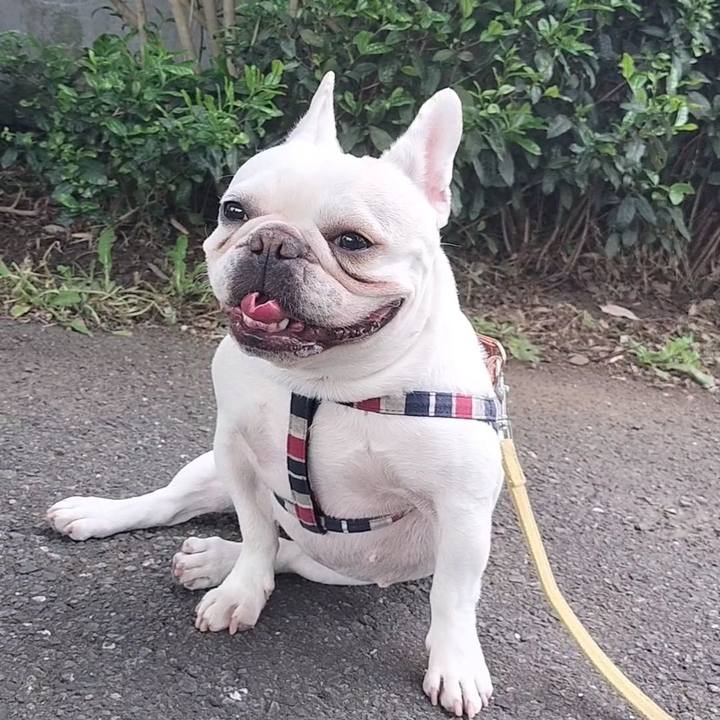 7d3af032 0762 480f ab61 c0440d13b2a5 1682728000539