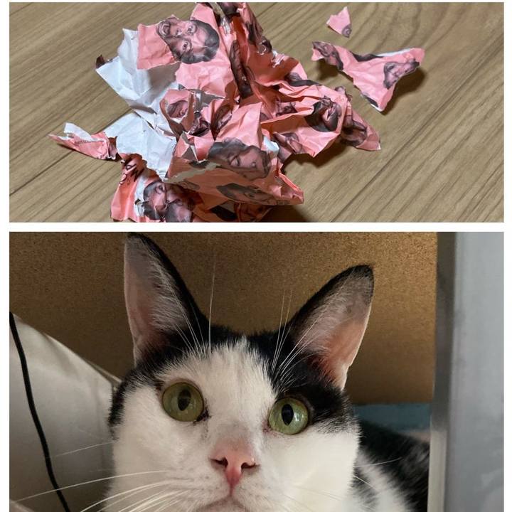 7d3b50ca 79ee 4194 99fe 110fd15328ad 1570361776361