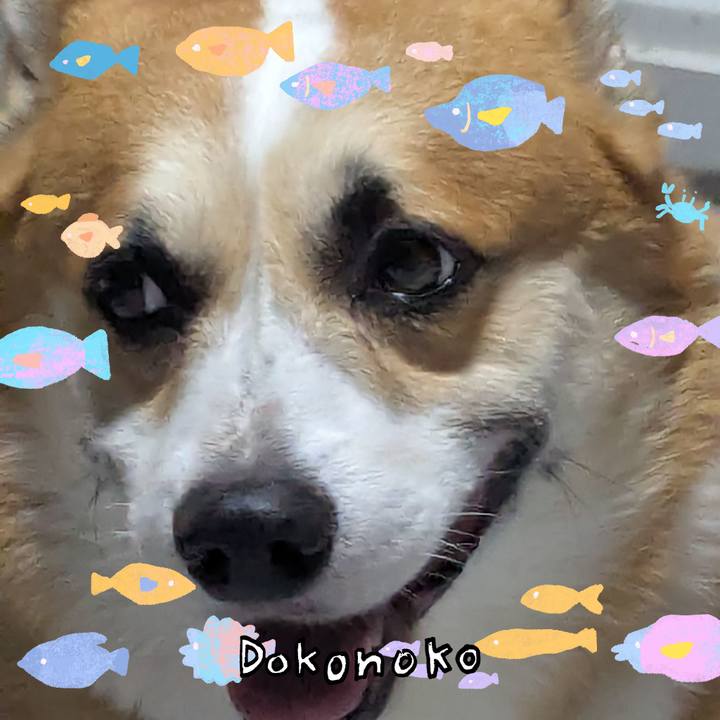 7d3b6d98 a75b 48af 97ad e93f01aaf004 1755264861058