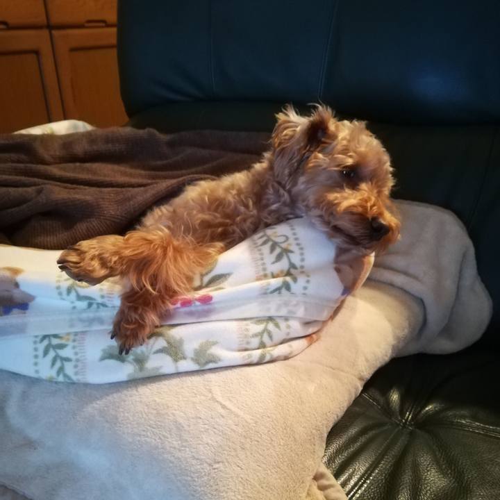 7d3b7497 271f 4fa3 8716 0e21dc8dfb71 1577403375630