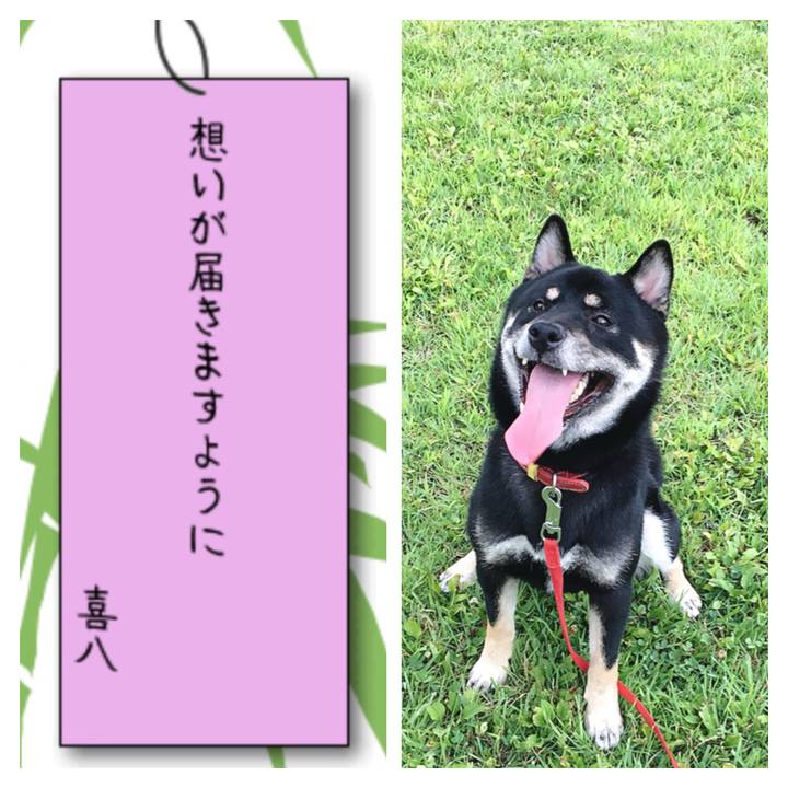 7d3b7722 5938 4f72 9067 b5cb3e9a9568 1530970852429