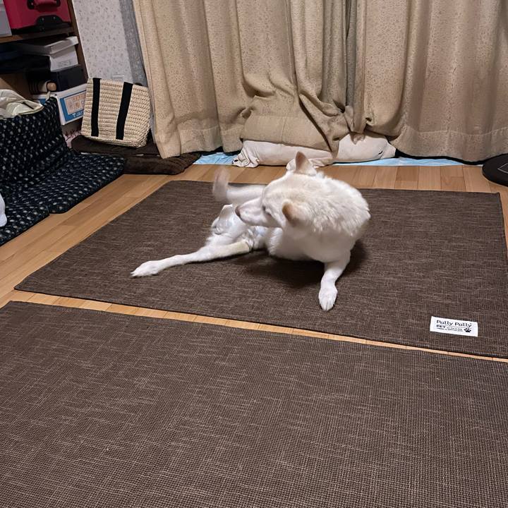 7d3ba54a 3be3 4bc6 9c52 780443d43927 1663593206835