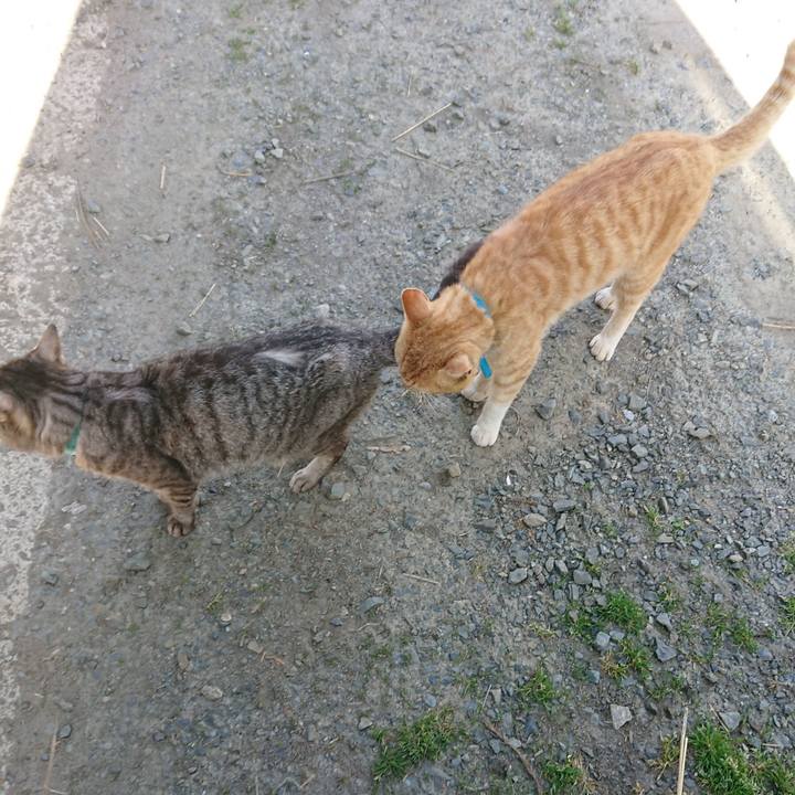 7d3baec0 0b51 4a4f 9498 e4e4e3adb60e 1556522543372