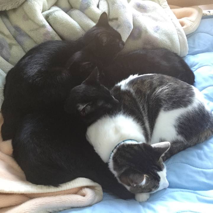 7d3bb0bb 4d7c 445d 99e1 c119f0fe4c2a 1521965022854