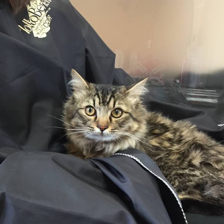 7d3bd2a1 6f30 44d2 bb72 08f78297a709 1518501631245