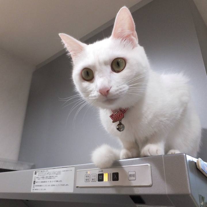 7d3c0012 8ab1 49ff 9f7d 700b09f76e7c 1631597717016