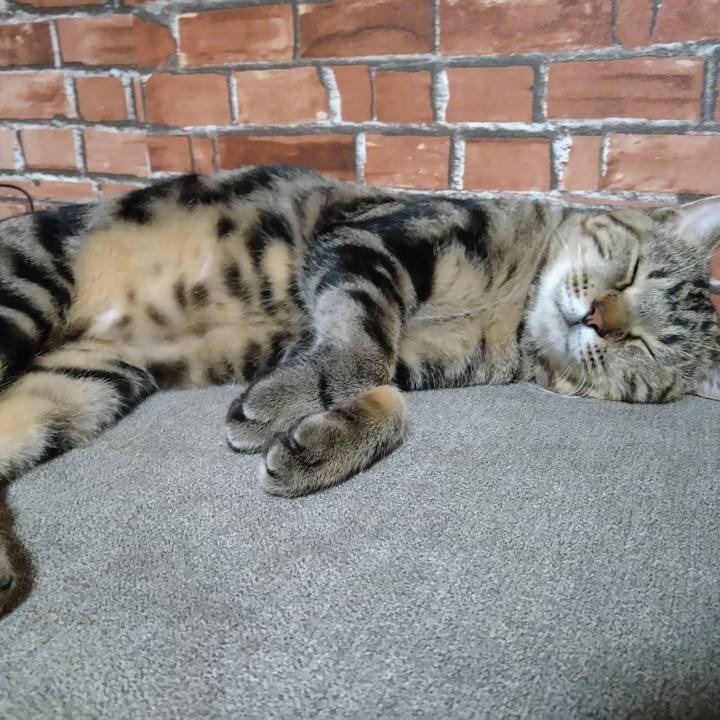 7d3c4e0a 55a2 47fe 8f66 a78fc1f55aec 1697239103682