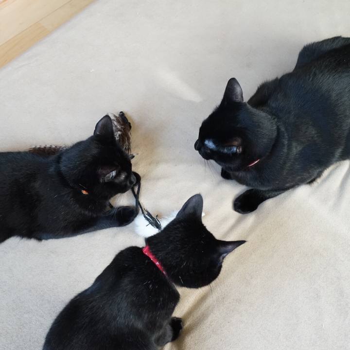 7d3c4f74 6c80 4742 a72e 3664cd6fbfbf 1521874099882